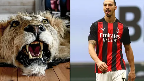 Zlatan fue acusado de tener un trofeo de León en su casa en Malmö