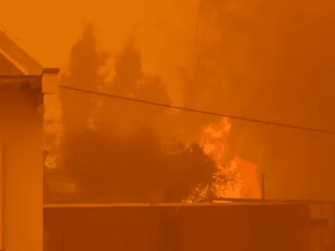 Grave incendio forestal amenaza a Quilpué