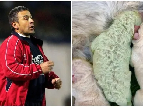 Juvenal y el nacimiento de un perro verde: "Me escribieron harto"