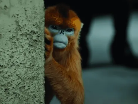 Nuevo trailer de "His Dark Materials"