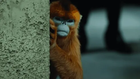 Los daemons son parte fundamental en la historia de "His Dark Materials".