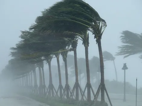 41 mil turistas son evacuados del Caribe Mexicano por huracán Delta