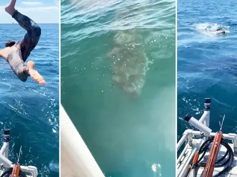 VIDEO: Joven se lanza a nadar con tiburón y se viraliza