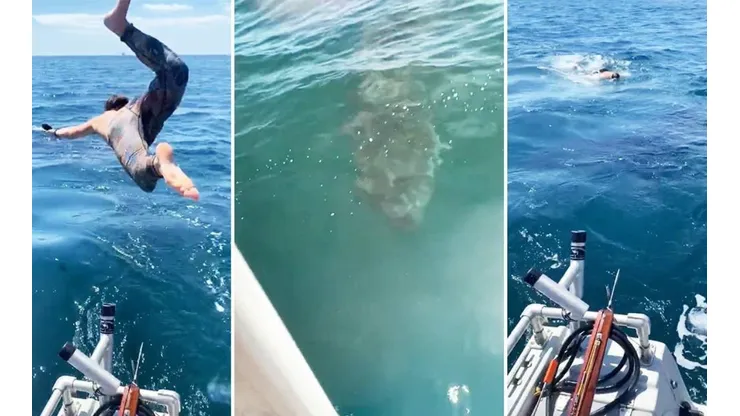 Tras darse cuenta de que se trataba de un tiburón blanco, el joven regresó rápidamente al bote.