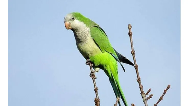 Los cuidadores del parque se preocuparon por los niños que asisten al zoológico los fines de semana.