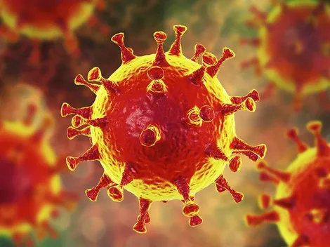 Informan que hay más de 965.000 muertos por Covid-19 en el mundo