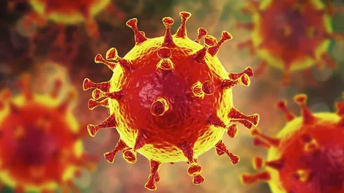 Perú registras la mayor tasa de mortalidad por cantidad de habitantes.