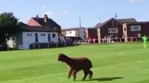 El partido tuvo que ser suspendido por aproximadamente veinte minutos.