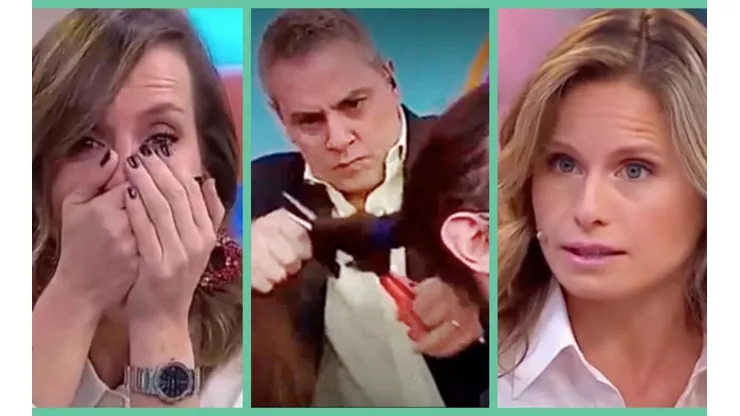 Diana Bolocco, Soledad Onetto y Michelle Adam tuvieron diversas reacciones ante el arranque de José Miguel Viñuela.