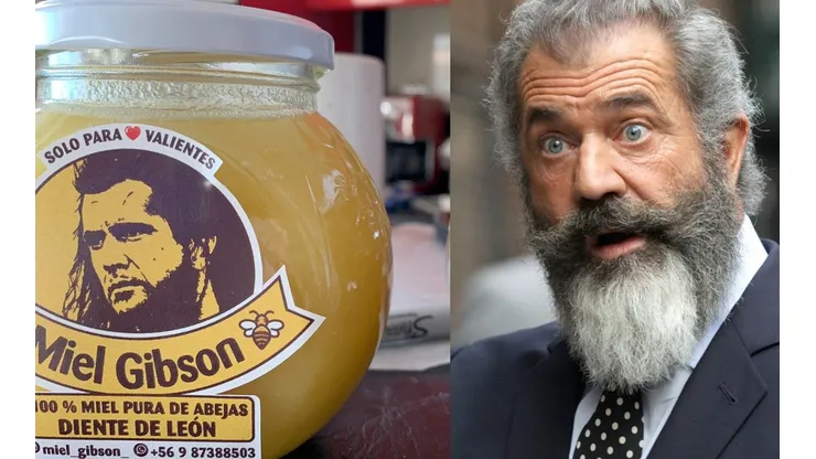 A Mel Gibson no le gusta la miel.