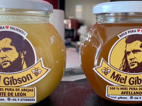 Mel Gibson provoca una serie de memes en Chile