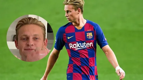 De Jing, su mano y una abeja.