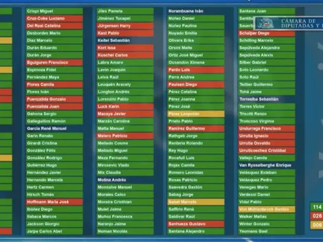 Así votaron los diputados por el retiro del 10% de la AFP