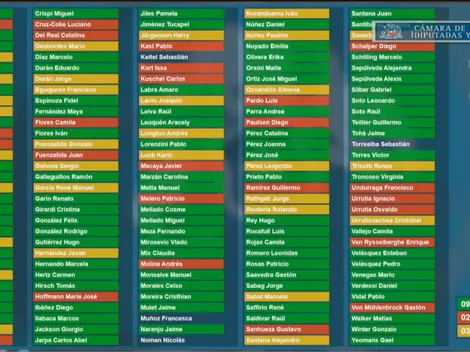 Sepa qué diputado aprobó, rechazó o se abstuvo en la votación para el proyecto de retiro de fondos de la AFP