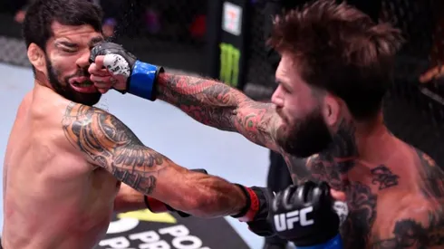 Cody Garbrandt se lució con un tremendo nocaut ante Raphael Assuncao en el UFC 250