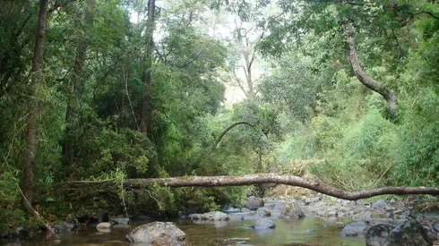 Ahora será Parque Nacional Nonguén.