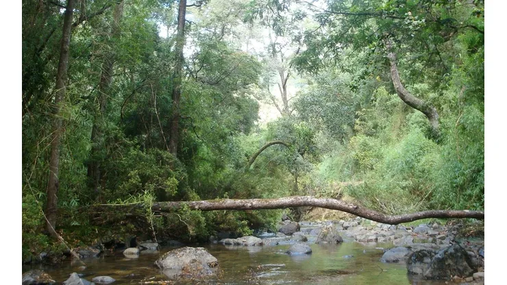 Ahora será Parque Nacional Nonguén.