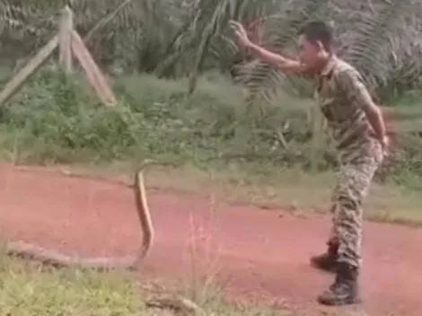 Video viral | Doma serpiente venenosa como un campeón