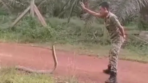 El momento en que el soldado domina a la bicha.