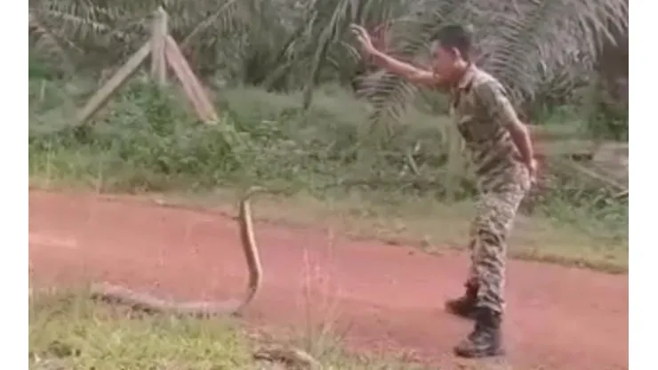 El momento en que el soldado domina a la bicha.