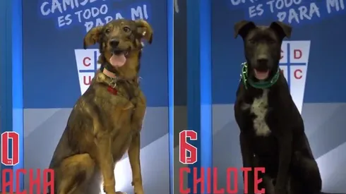 Un buen gesto del equipo cruzado.