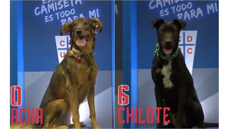 Un buen gesto del equipo cruzado.