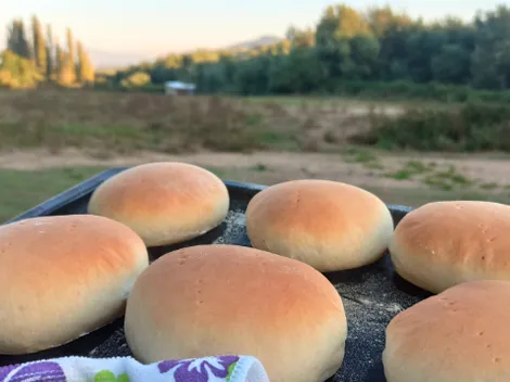 Receta de pan amasado casero esponjoso