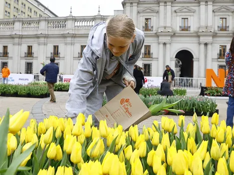 ¿Cuándo y dónde es el Día del Tulipán 2024?