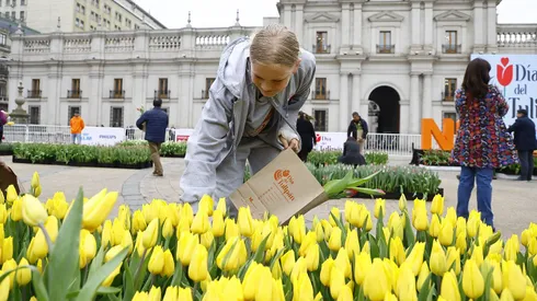 Santiago, 21 de septiembre de 2023. Día del Tulipán en La Moneda