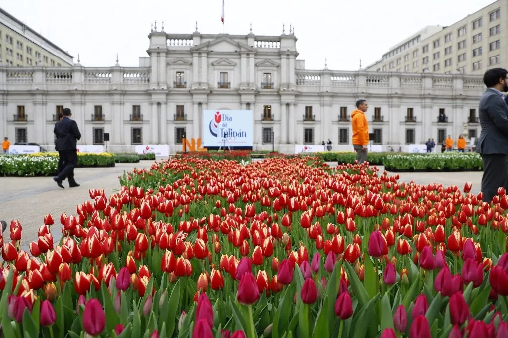 Día del Tulipán 2023 en La Moneda