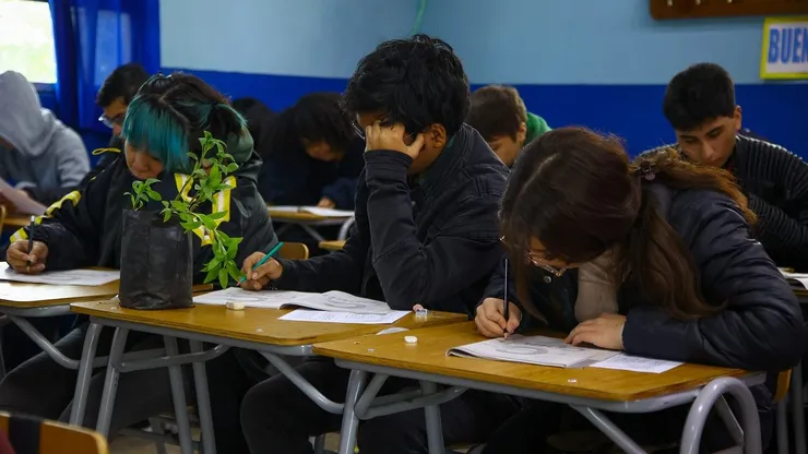 Estudiantes
