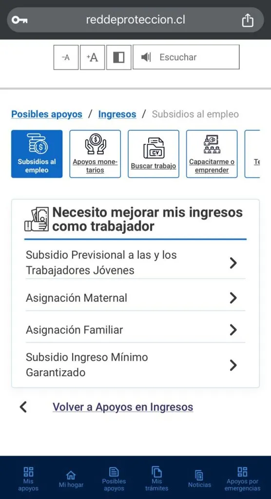 Captura de la plataforma de la Red de Protección Social para consultar beneficios.