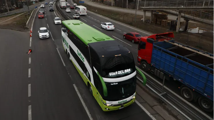 Buses