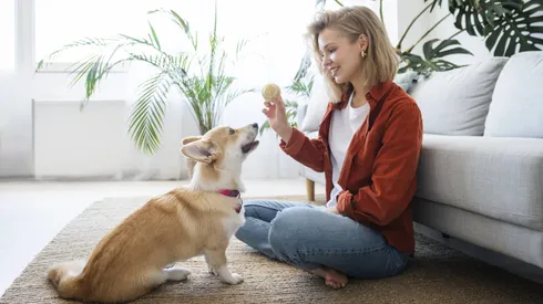 ¿Las mascotas realmente ayudan a la salud mental? Un estudio dice que no