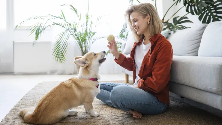 ¿Las mascotas realmente ayudan a la salud mental? Un estudio dice que no