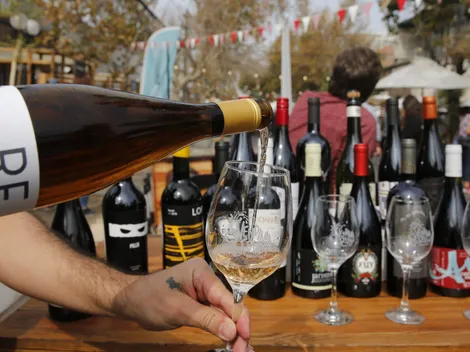 Los panoramas para celebrar el Día Nacional del Vino 2024
