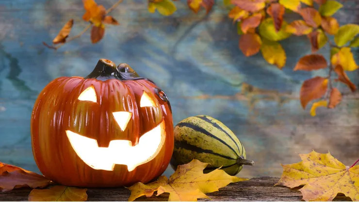 Celebración de Halloween 2024.