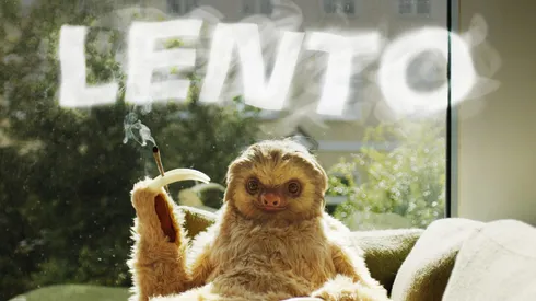 Los artistas lanzan nueva canción.