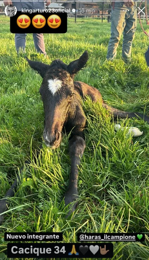 Arturo Vidal anunció la llegada de Cacique 34, nombre ligado al soñado título que espera quitarle Colo Colo a la U esta temporada. Foto: Instagram.