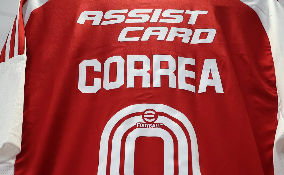 2024 polera con cuello colo colo