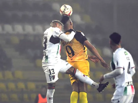 Pronósticos Palestino vs Coquimbo Unido: partidazo en el Estadio Municipal de La Cisterna