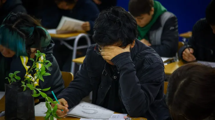 Estudiante