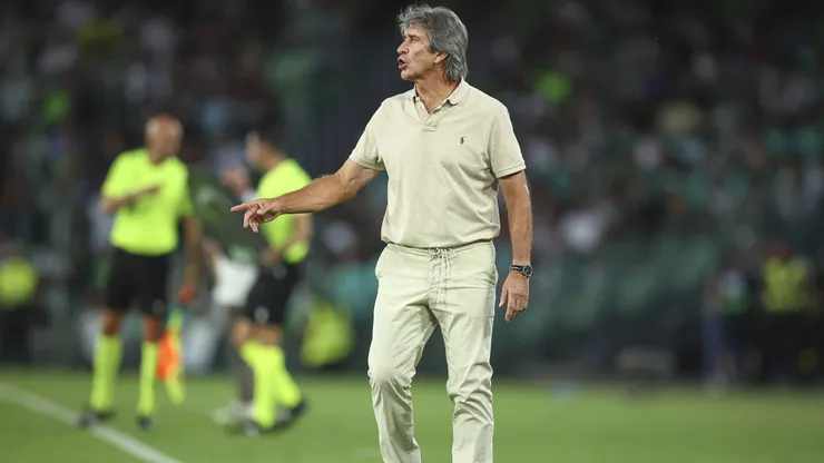 Manuel Pellegrini
