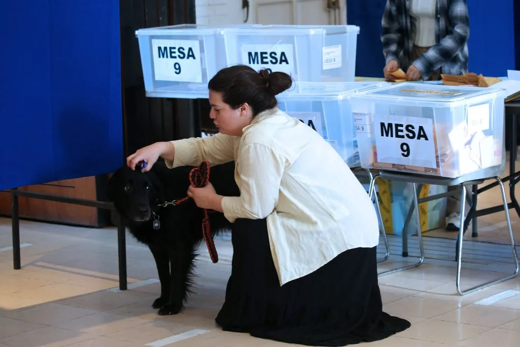 Mascotas en las elecciones | Foto: Aton Chile