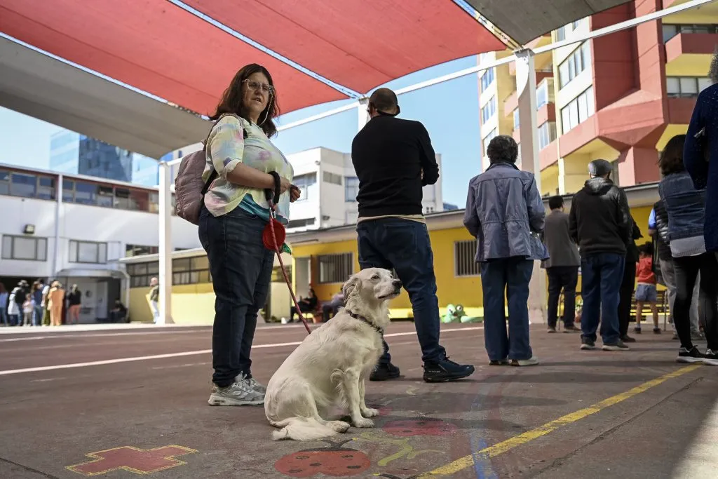 Mascotas en las elecciones | Foto: Aton Chile