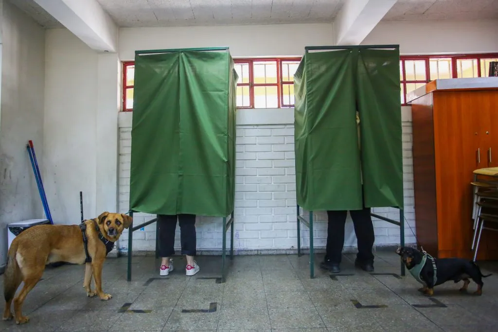 Mascotas en las elecciones | Foto: Aton Chile