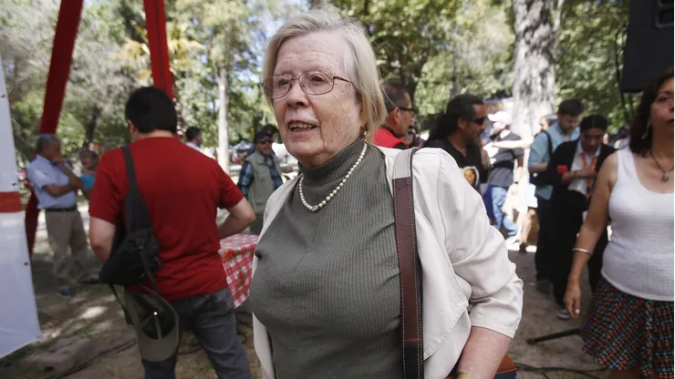 Diputada Mercedes Bulnes