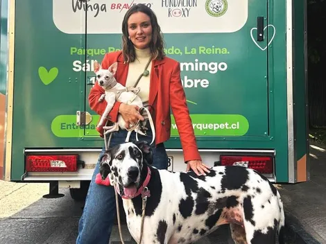 Parque Pet: El primer evento en Chile 100% para mascotas