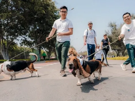 Perritos se tomarán las calles en corrida familiar