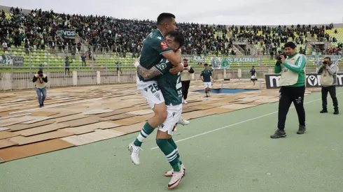 Caturros buscan nueva casa.